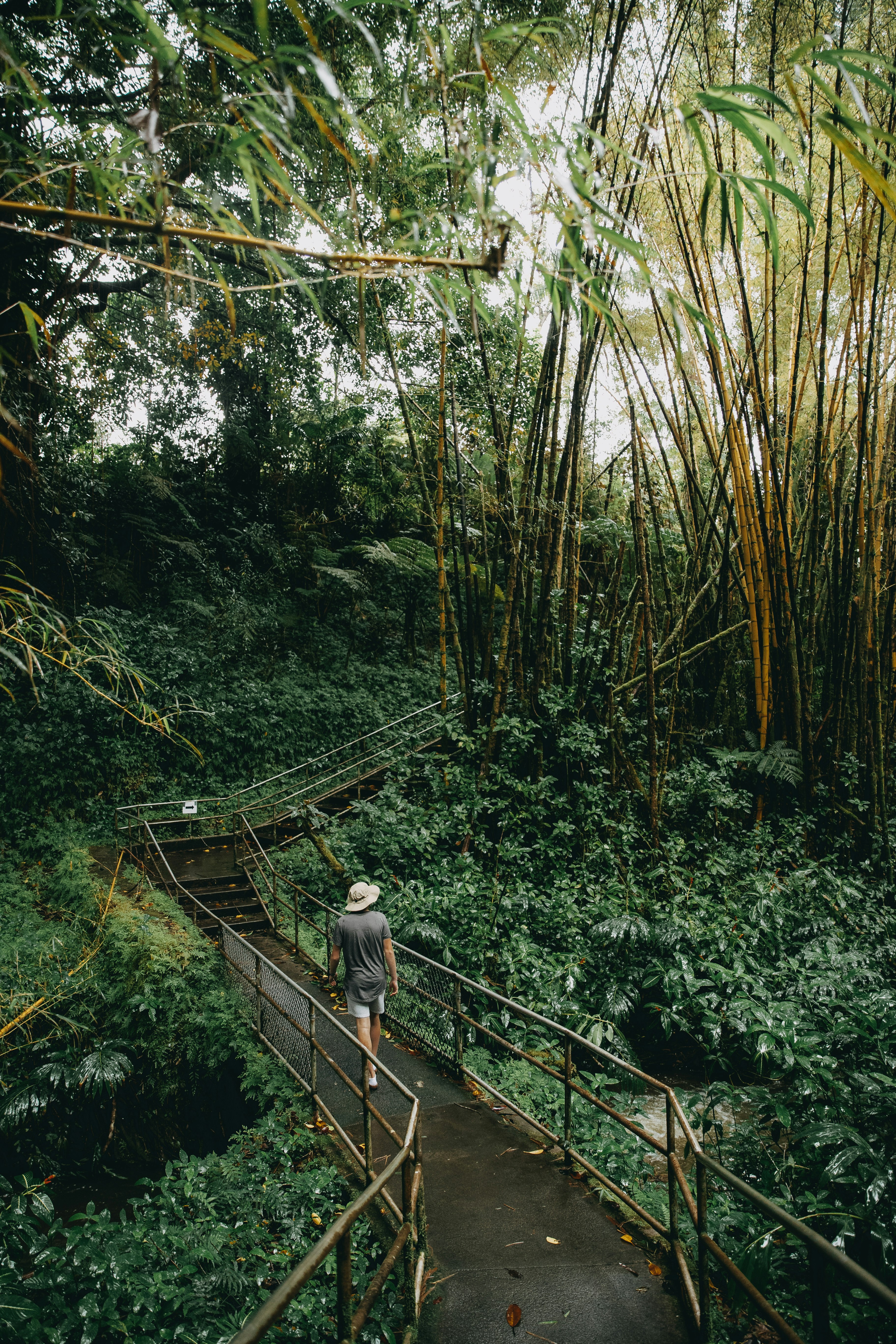 man in white shirt and blue denim jeans walking on brown wooden bridge surrounded by green